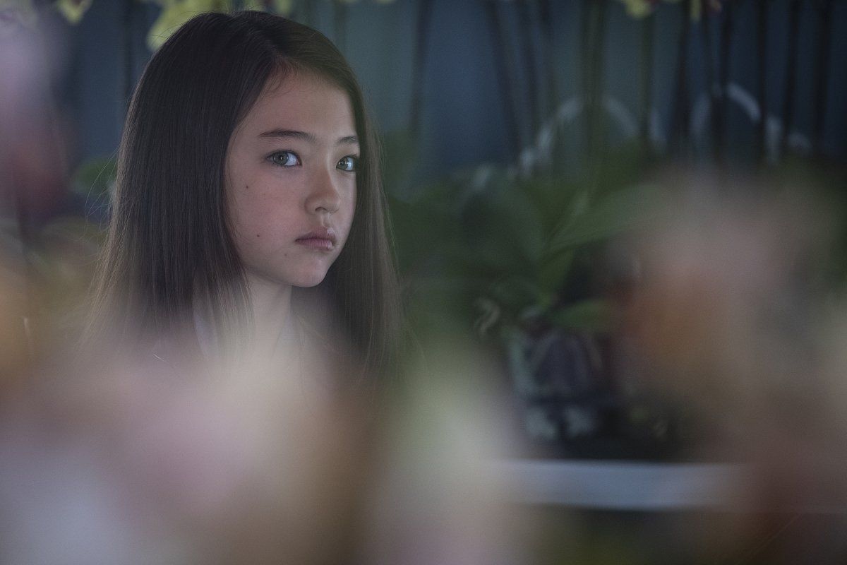 Ella McKenzie Gross as Young Soji