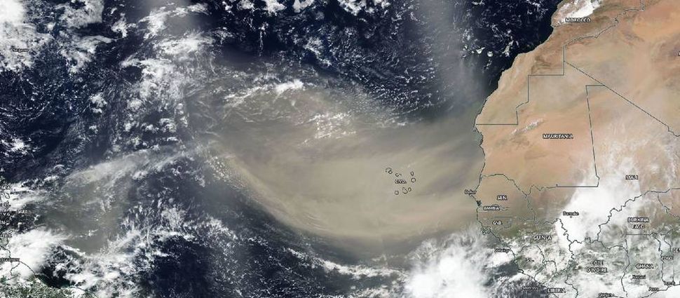 Massive Saharan dust plume swirling across Atlantic Ocean spotted from space