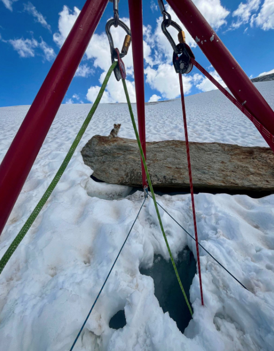 Dog in crevasse rescue