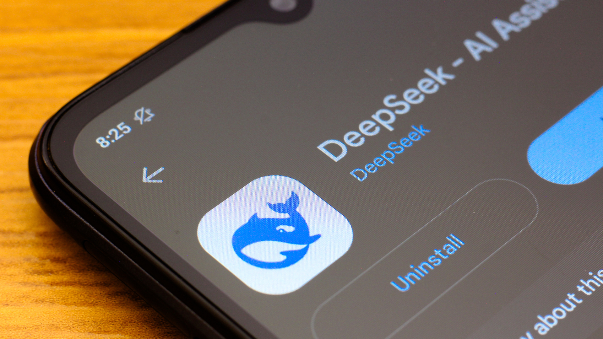 DeepSeek logo displayed on a smartphone screen