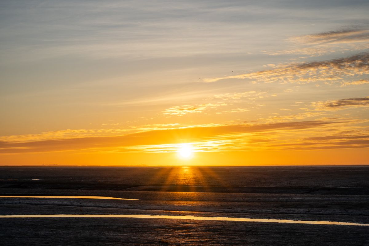 Sony FE 20-70mm F4 G lens sample image of sunset and sunstar