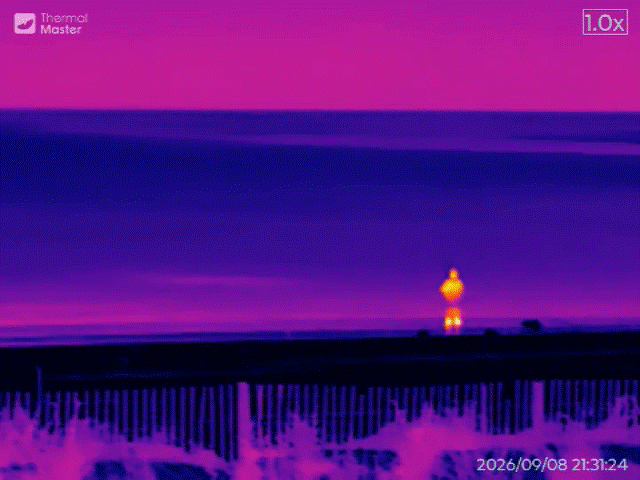 Thermal Master T2 Max sample.