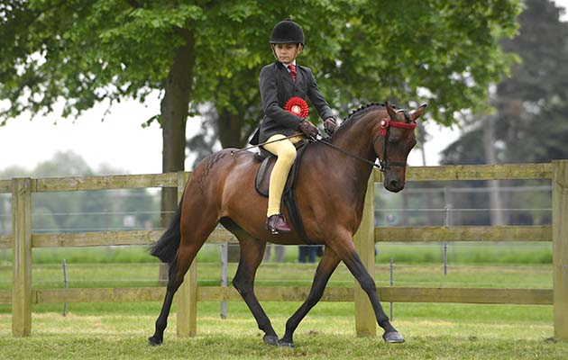 RWHS 12 05 2018