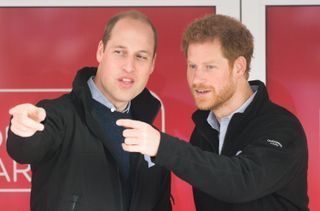 Prince Harry and Prince William watching sports game and pointing at something