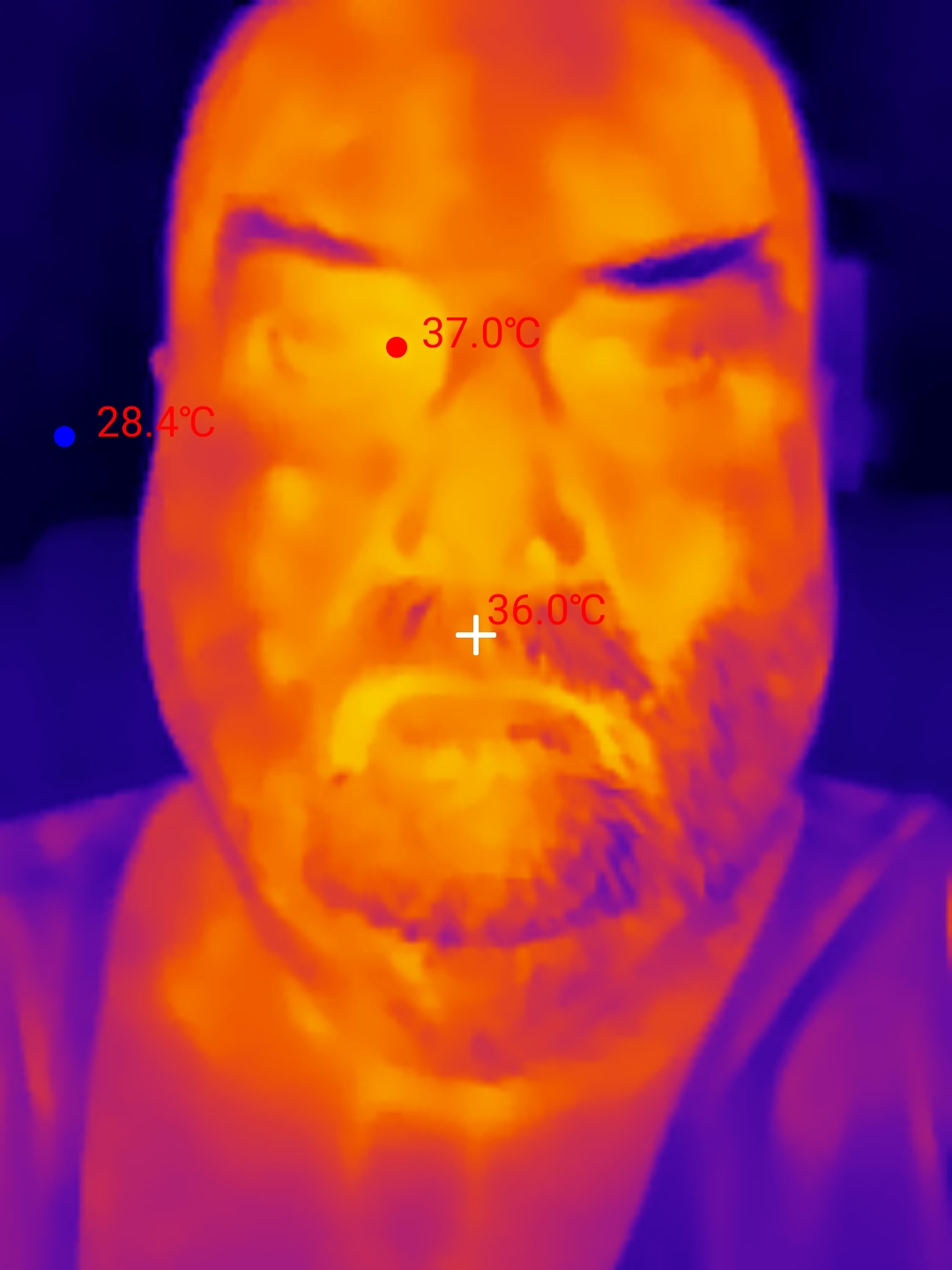 Thermal Master P3 Example images