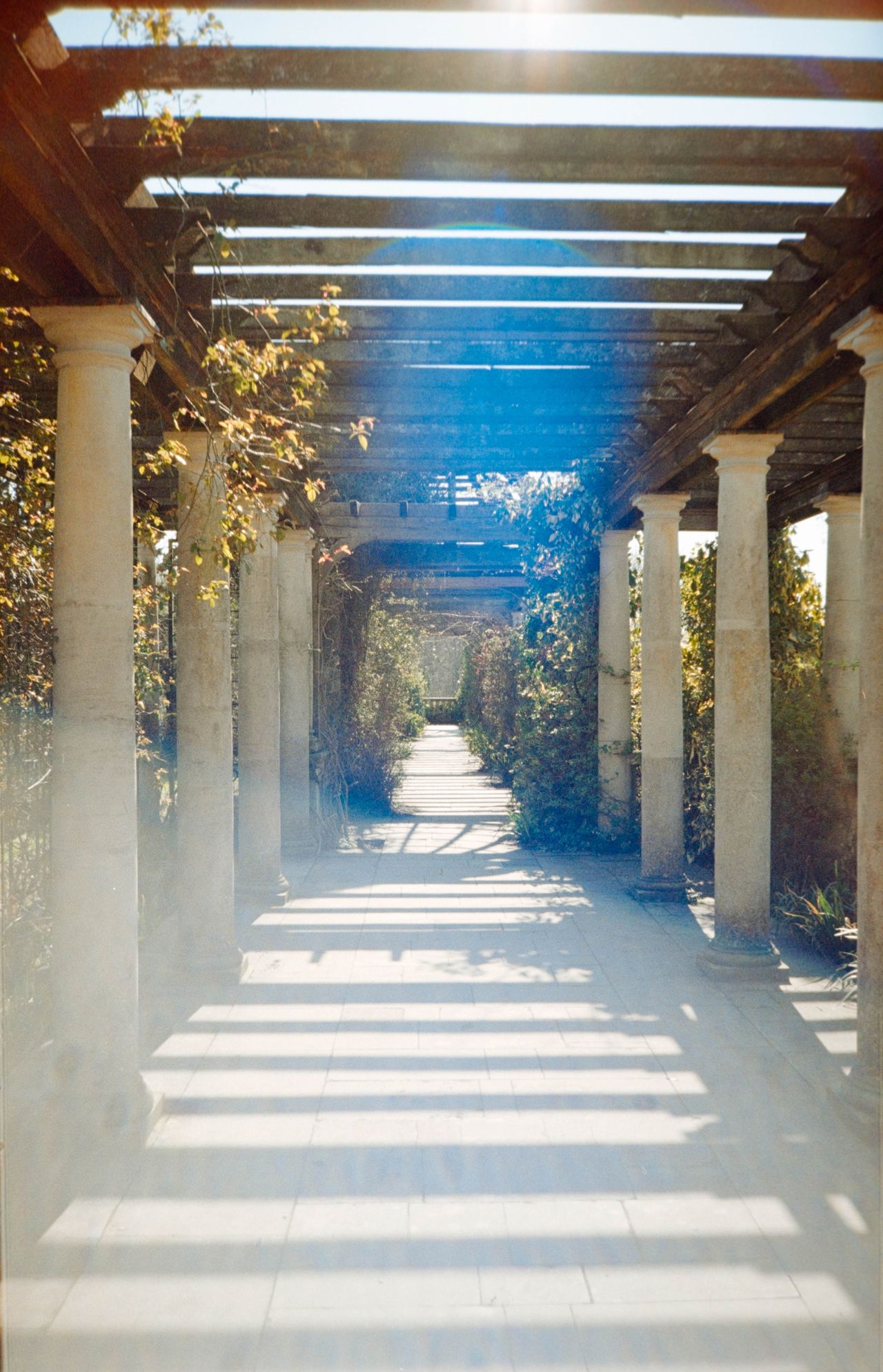 Scanned and digitized film image, using Valoi Easy 35 Pro V2 and Negative Lab Pro Lightroom plugin. Image shows a sun-dappled path bordered by Roman-style stone columns