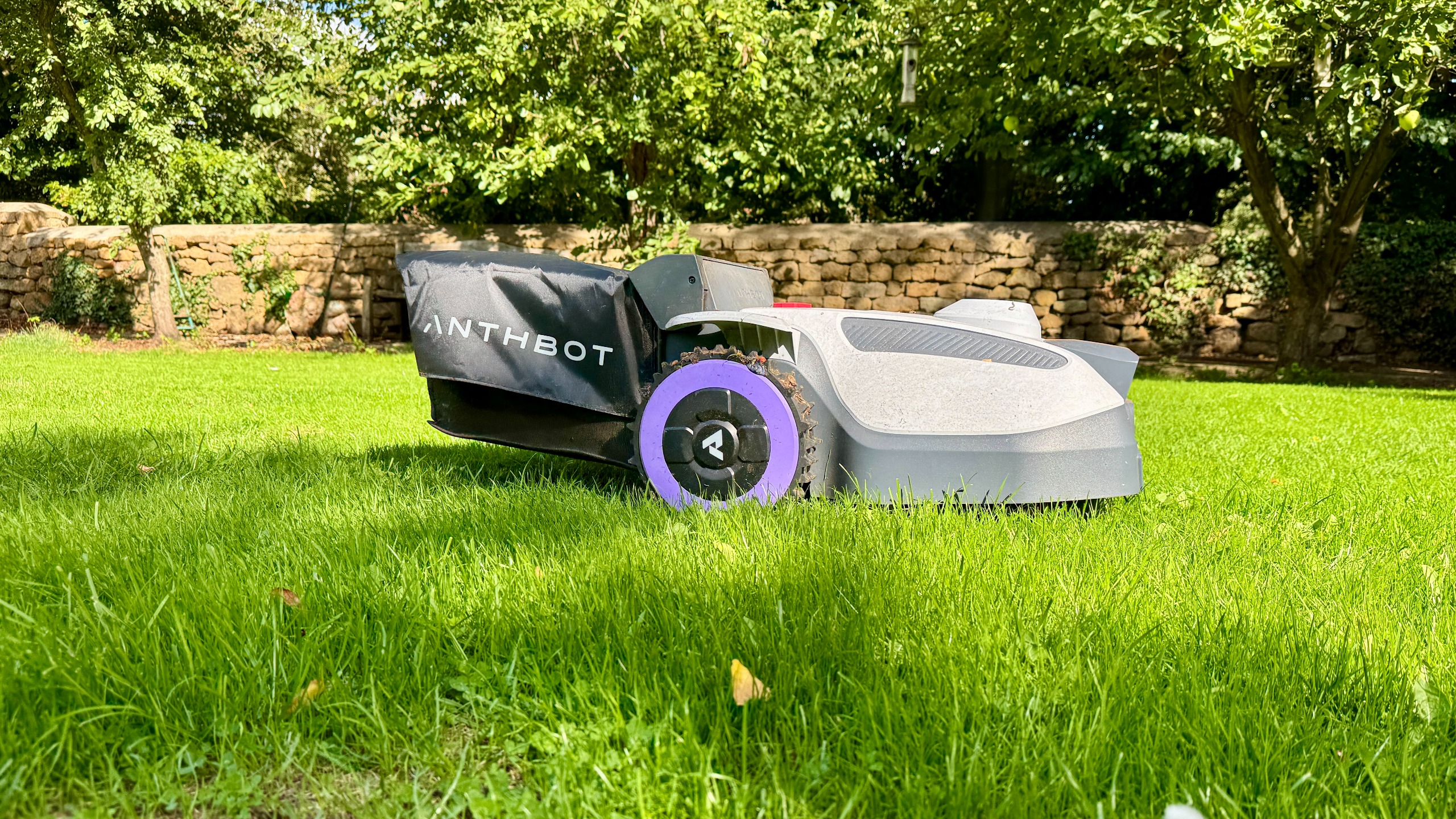 Anthbot N8 robot mower and leaf sweeper test and review