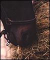 A2BACEF6-6576-403B-9652-B83274058D0C.jpg