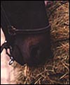 A2BACEF6-6576-403B-9652-B83274058D0C.jpg