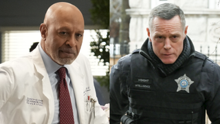 James Pickens Jr. as Richard Webber in Grey's Anatomy and Jason Beghe as Hank Voight in Chicago P.D. 