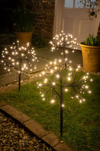 Christmas lights in the border of a garden