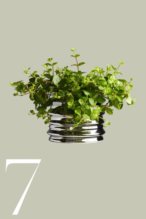 Metal Flower Pot in Silver