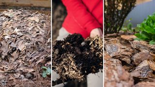 composite of three different mulches