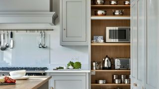 blue kitchen with cupboard filled with appliances