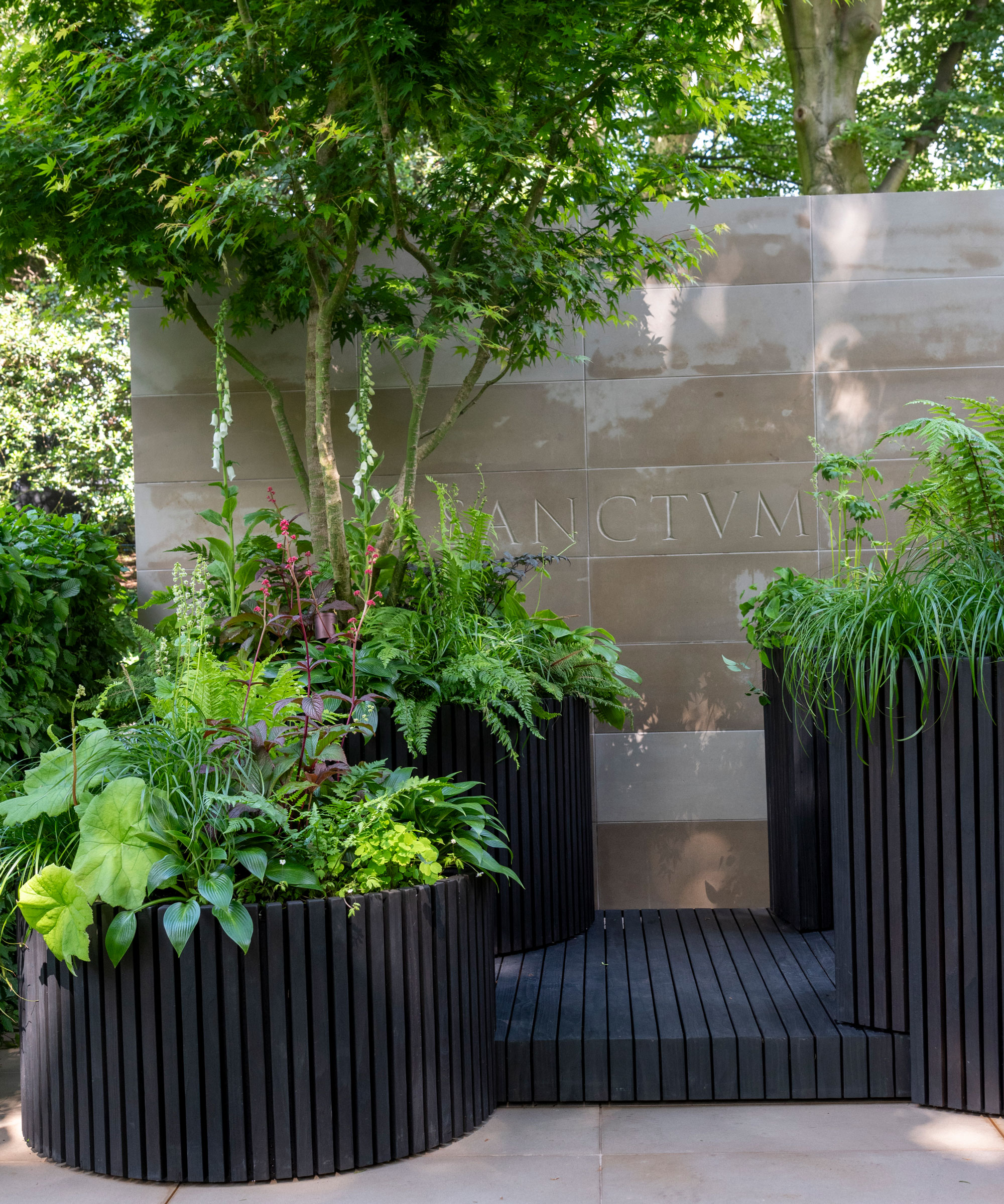 large black containers planted up with ferns, ornamental grasses and other perennial plants, with one containing a small tree