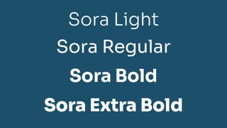 Examples of Sora in four weights