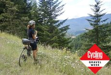 Gravel rider looks out over a view 