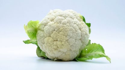isolated white head of cauliflower 