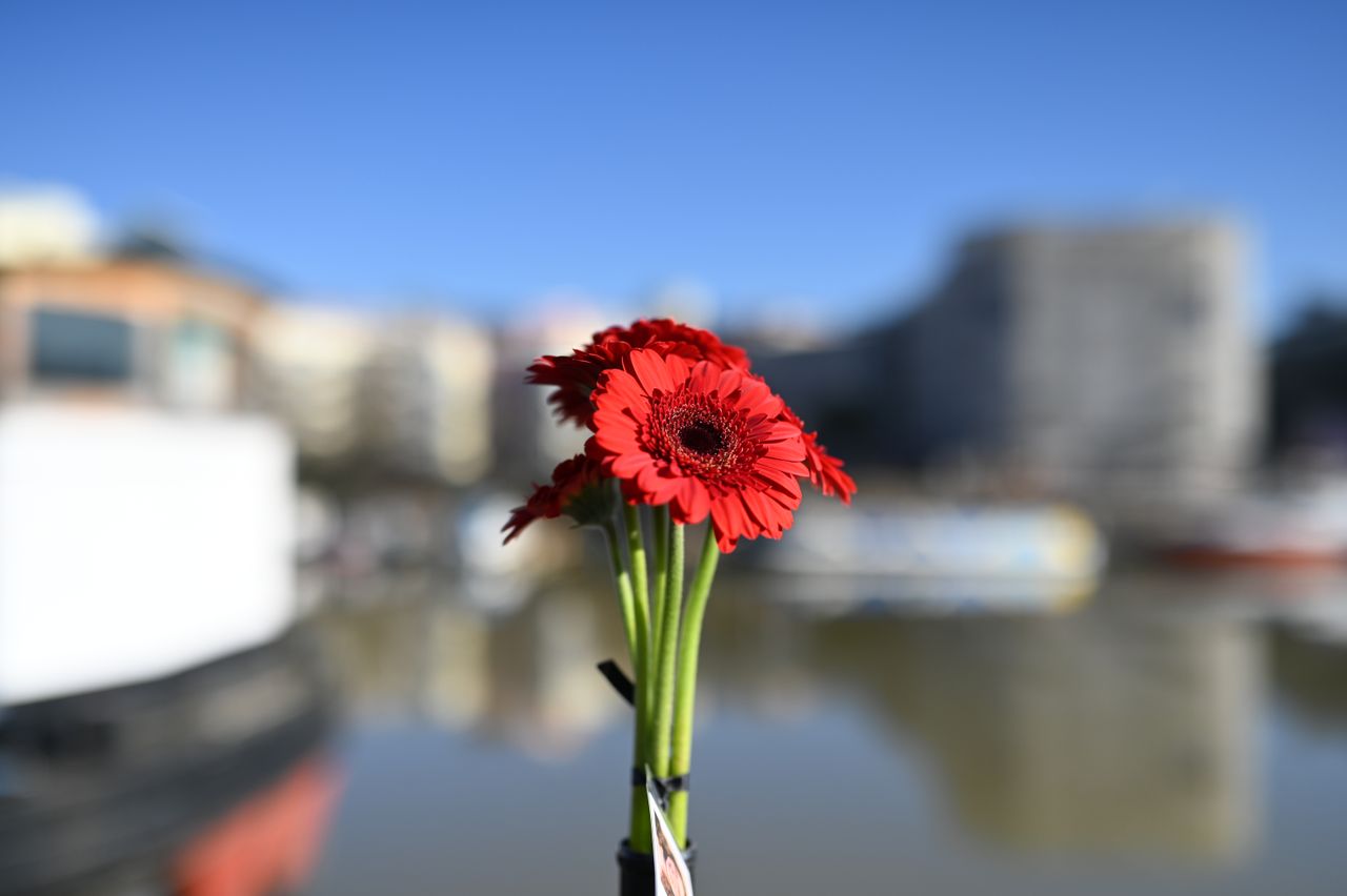 Nikon Z 35mm f/1.2 S example shot
