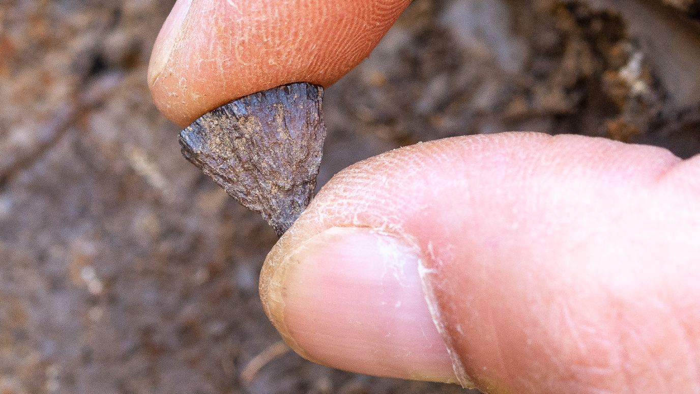 a light-skinned person holds a small triangular piece of pyrite between their right thumb and forefinger