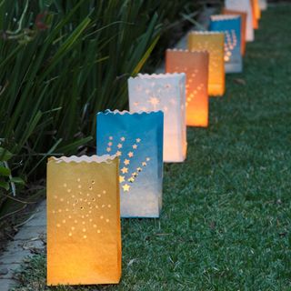paperbag lanterns on grass lawn and green plants
