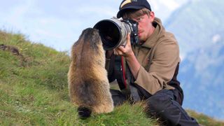 Wildlife photographer taking pictures of tame Alpine marmot (Marmota marmota) with long telephoto lens in summer in the Alps.