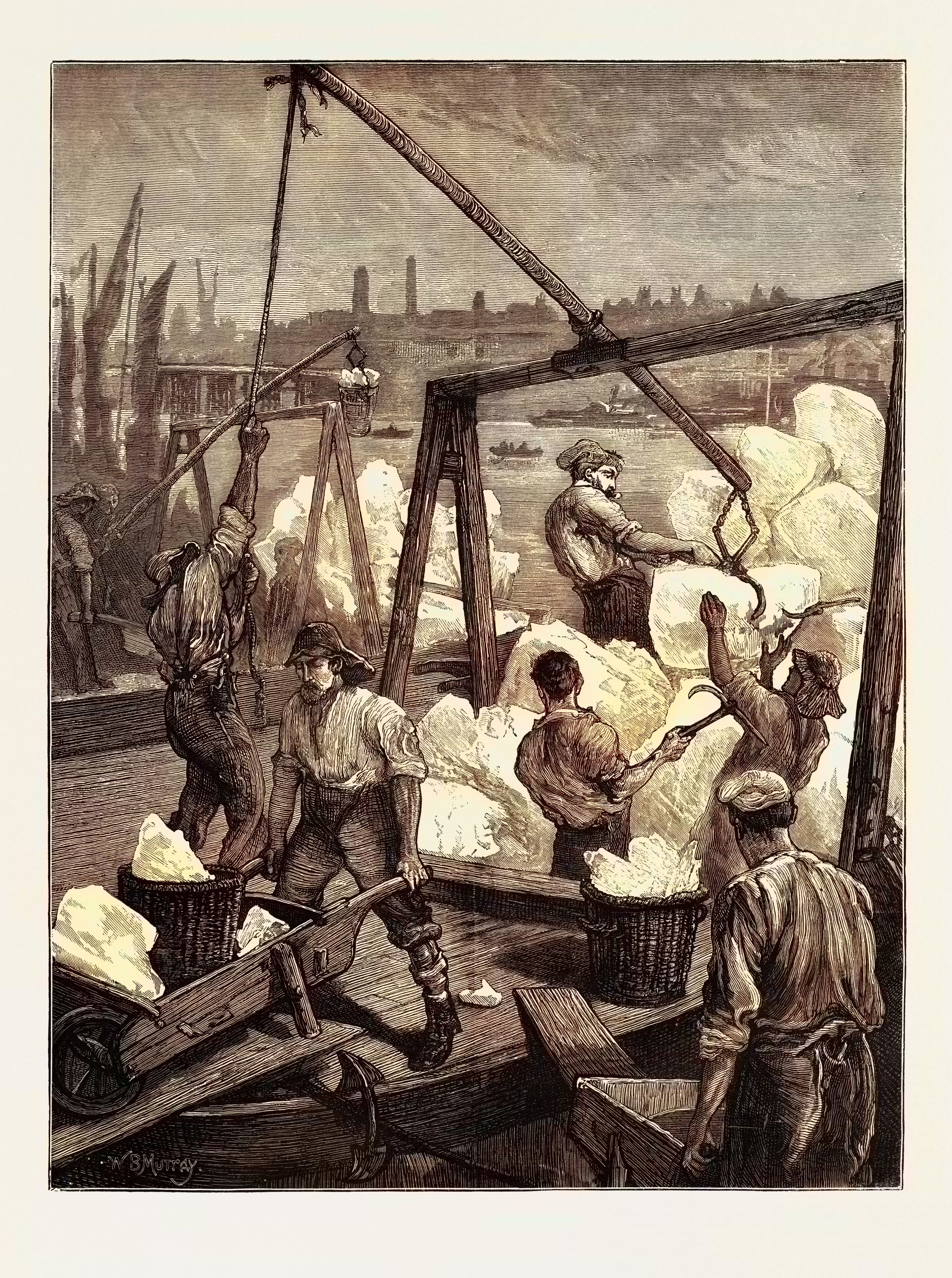 Drawing of blocks of ice being unloaded from a ship at London's docks