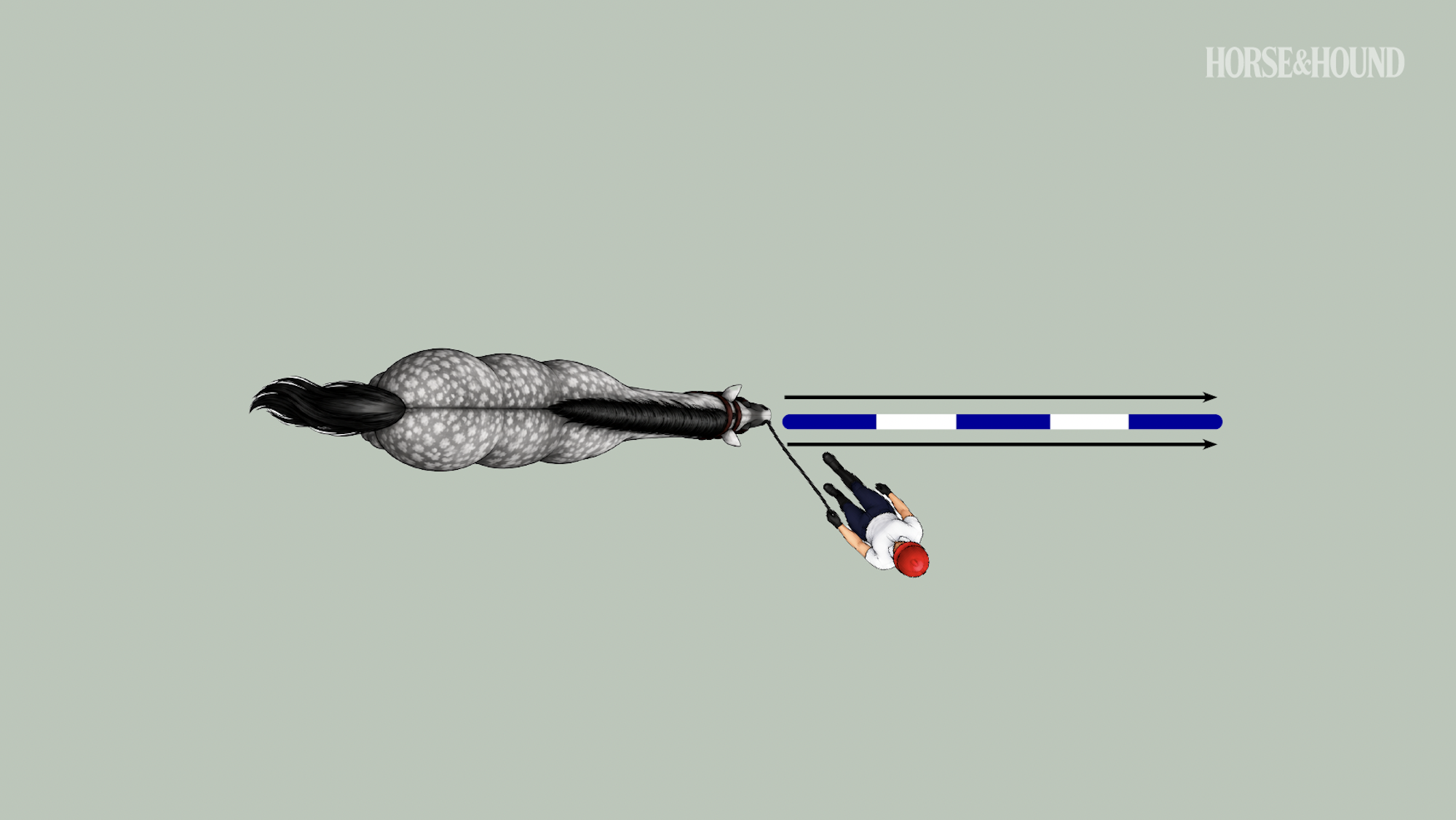 Diagram showing horse doing groundwork pole straddle exercise