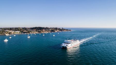 MV Queenscliff Ferry by Lucy Marczyk Design Studio