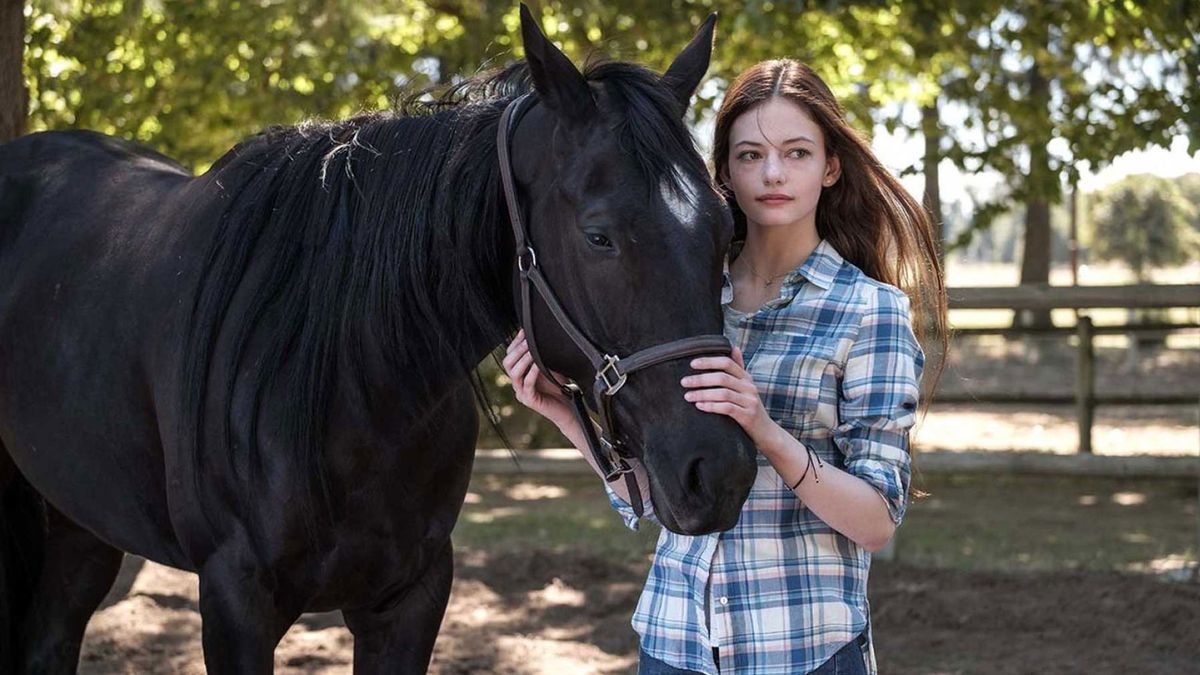 How to watch Black Beauty on Disney Plus