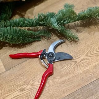 Close up of red shears and pine foliage on wooden floor