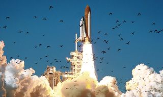 A space shuttle launches into a blue sky filled with birds