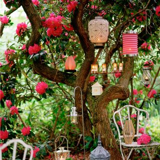 garden with flowers decorated by led lanterns