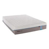 Tempur Cloud:&nbsp;&nbsp;$1,699