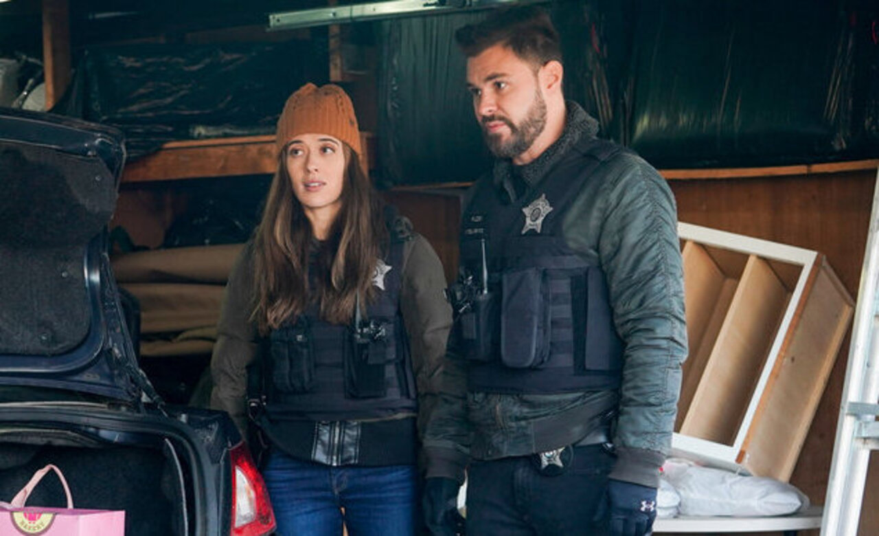 Chicago P.D. Burgess and Ruzek