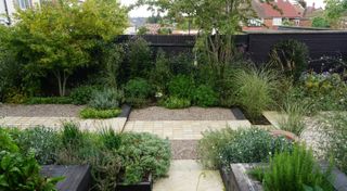 sloping garden ideas: pathway across garden designed by Fenton Roberts Garden Design