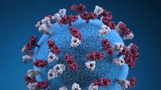 illustration of a measles virus particle depicted in blue, plum and grey