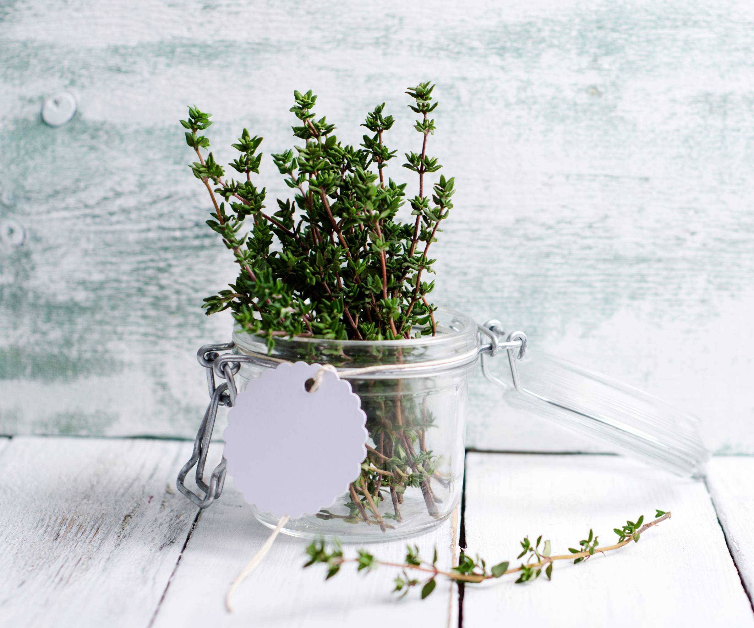 Fresh thyme sprigs in a jar