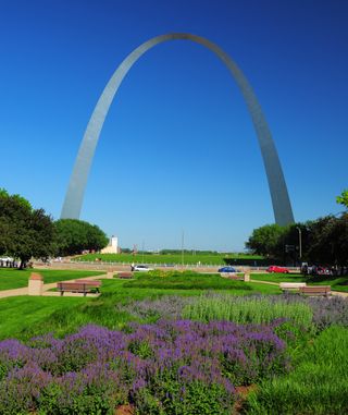 The St. Louis Arch over a garden of purple flowers