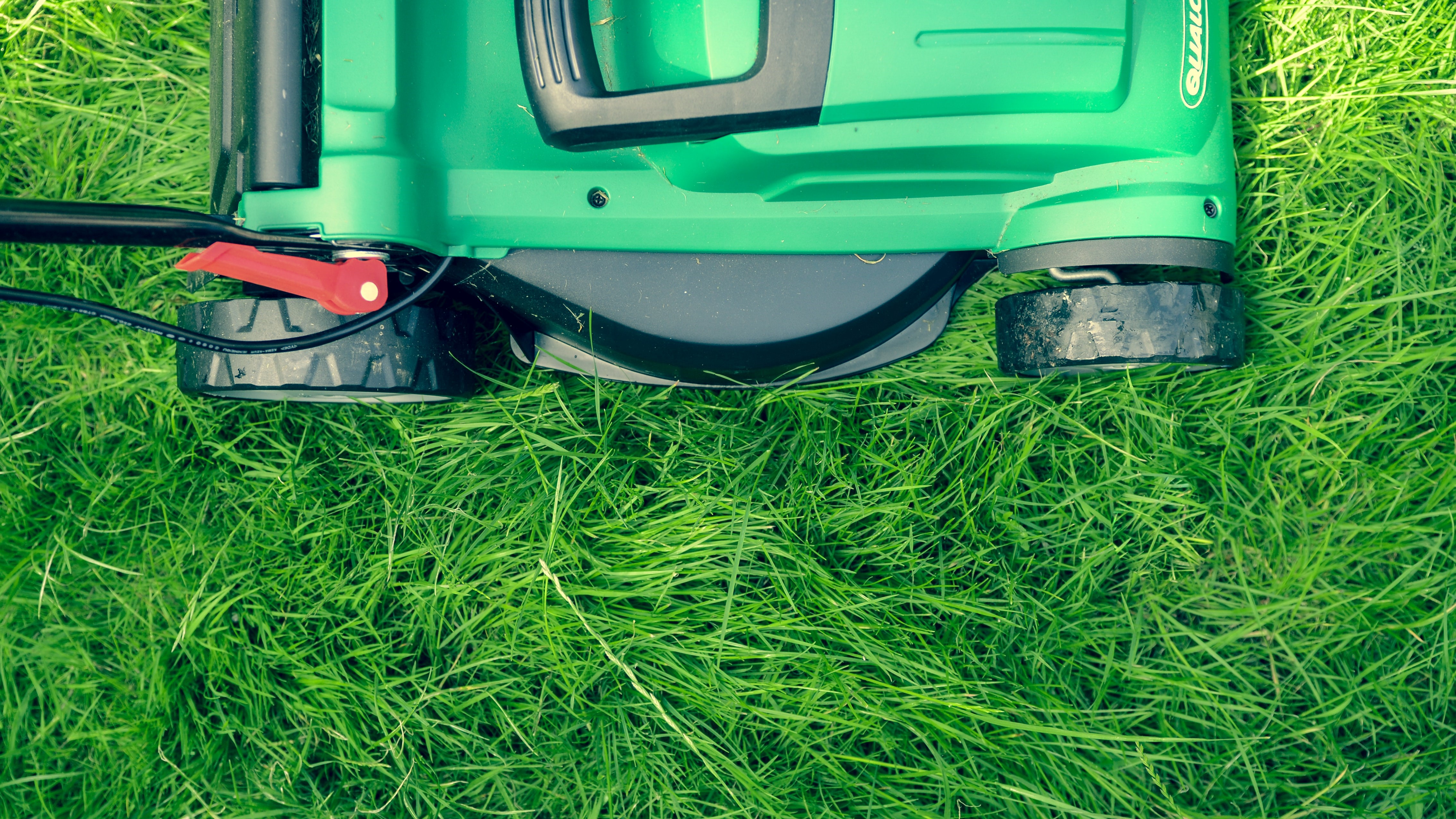Best lawn mowers
