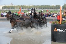 Boyd Exell competing in the driving marathon at WEG 2014