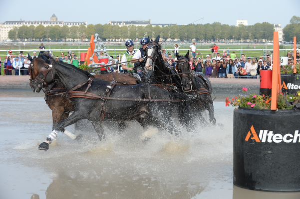 Boyd Exell competing in the driving marathon at WEG 2014