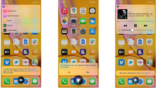 Siri asking which app I prefer to play music from, asking for data permissions for a third-party app, and Siri playing a Spotify song