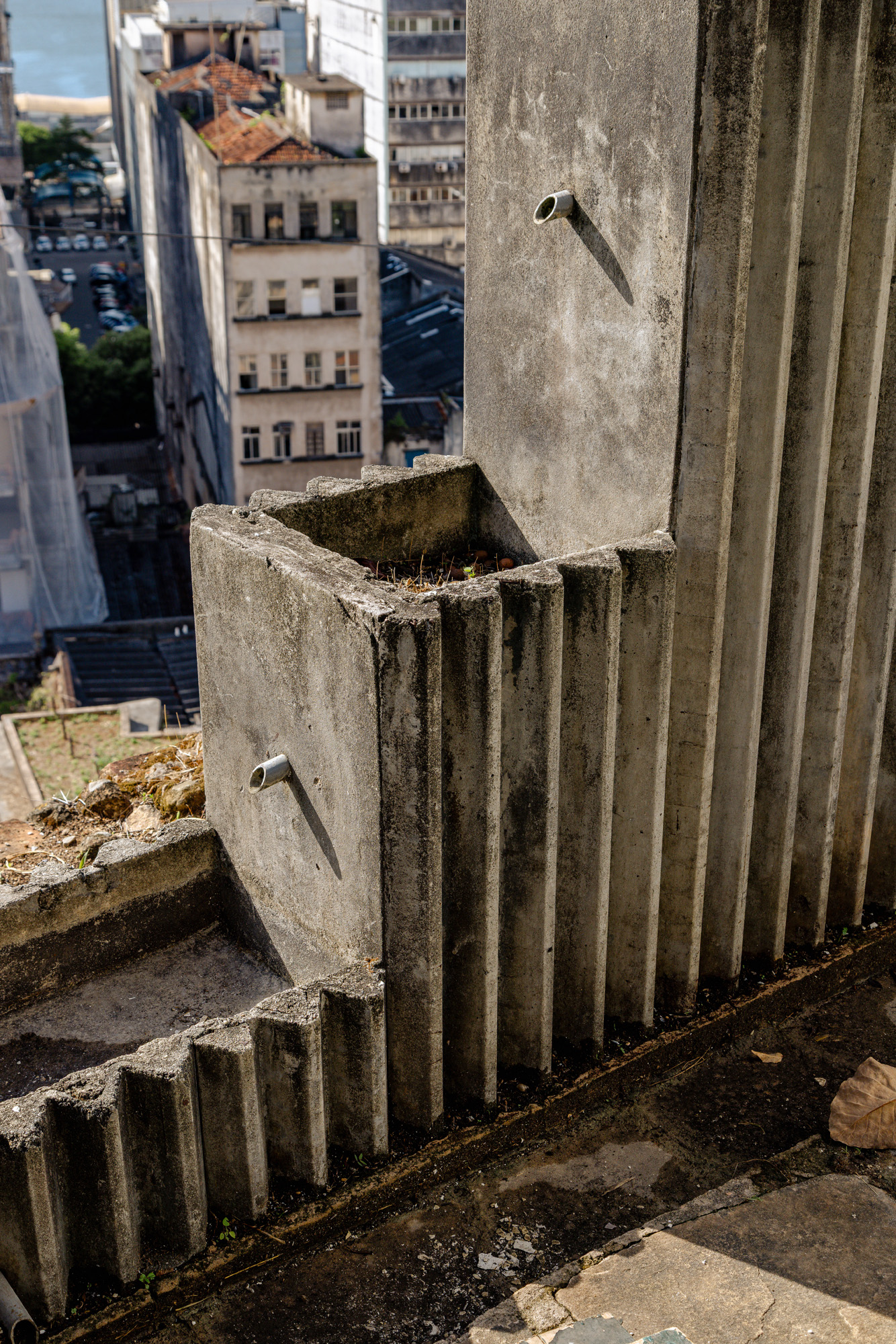 Pivo gallery in Bahia