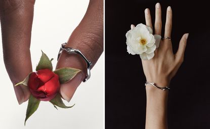 rose and jewellery