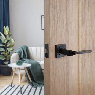 Wooden door with matte black lever handle