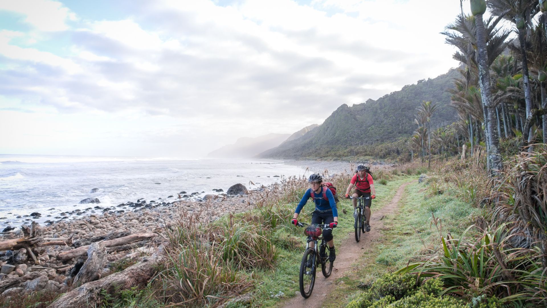 Heaphy Track, South Island, New Zealand