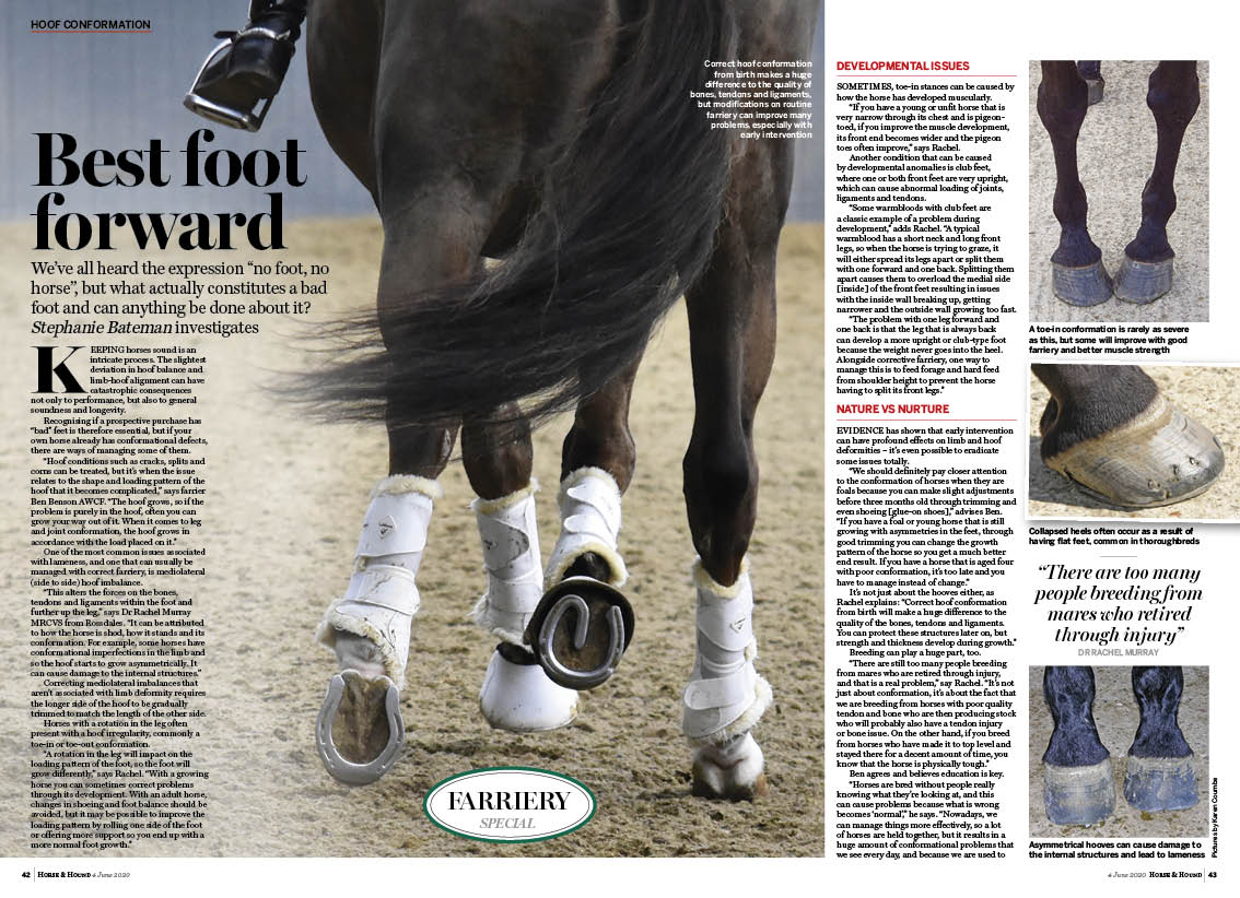 FT 3pp Farriery no foot no hors