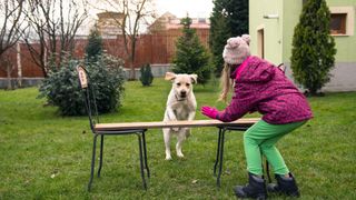 Girl with makeshift obstacle course for dog