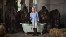 Martha Stewart x Kohler
